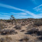 探索神灯体育的多元化运动项目与活动 2s8jz4an