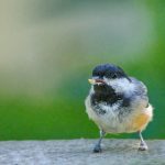 探索Y3国际在全球市场中的战略布局与影响 41pit32b