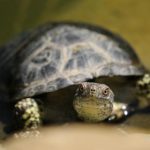 探索宝威体育登录入口的功能,提升你的体育娱乐体验 cx0jaha8