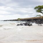 探索天庭娱乐网页版:畅享多样化游戏体验的最佳选择 f6wh8y3y