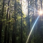 探索江南体育App的独特功能,提升你的运动体验 pap7quwn9h