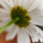 279开奖号最新公布,惊喜大奖花落谁家? srq19l70d